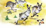 Заяц, косач, медведь и весна (Сказка Бианки В.В.), картинка