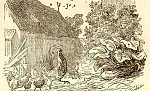 Дворовый петух и флюгерный (Сказка Андерсена), картинка