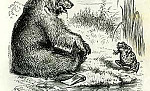 Братец Медведь и Сестрица Лягушка, картинка