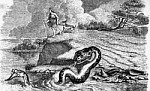Голова и хвост змеи (Сказка Толстого Л.Н.), картинка