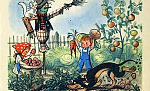 Бабушкин огород (Сказка Сутеева В.Г.), картинка