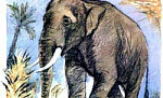 Слон (Сказка Толстого Л.Н.), картинка