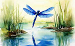 Голубая стрекоза - Пришвин