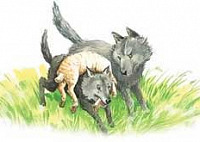 Как волки учат своих детей (Сказка Толстого Л.Н.), картинка