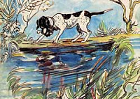 Собака и её тень (Сказка Толстого Л.Н.), картинка