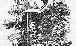 Поднятие флага - Толстой А.Н., картинка
