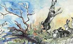 Зайцы и лягушки (Сказка Толстого Л.Н.), картинка