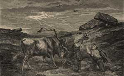 Стинфольская пещера - Вильгельм Гауф, картинка