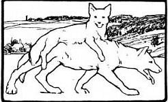 Волк и лиса - Гримм, картинка