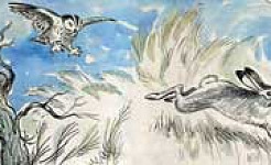 Сова и заяц (Сказка Толстого Л.Н.), картинка