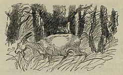 Волк и козлята - Толстой А.Н., картинка