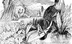 Муравей и голубка (Сказка Толстого Л.Н.), картинка