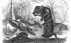 Волк и лук (Сказка Толстого Л.Н.), картинка