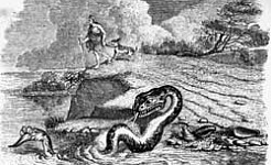 Голова и хвост змеи (Сказка Толстого Л.Н.), картинка