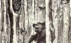 Медведь на воеводстве (Сказка Салтыкова-Щедрина), картинка