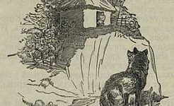 Старик и волк - Толстой А.Н., картинка