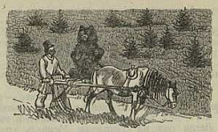 Мужик и медведь - Толстой А.Н., картинка