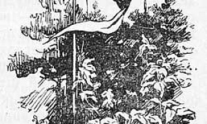 Поднятие флага - Толстой А.Н., картинка