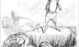 Зайцы и лягушки - басня Льва Толстого