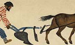 Луговка - Пришвин, картинка