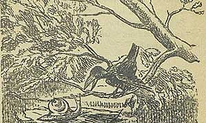 Рачья свадьба Рачья свадьба - Толстой А.Н., картинка