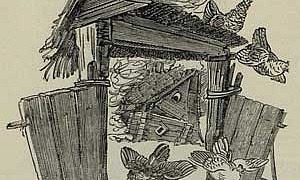 Курочка Ряба - Толстой А.Н., картинка