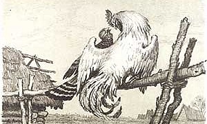 Кукушка и Петух - Басня Крылова