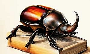 Похождения жука-носорога - Паустовский, картинка