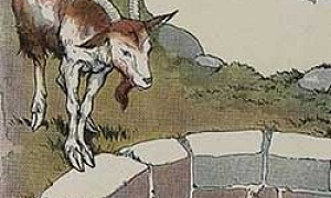 Лиса и козел - Ушинский К.Д.