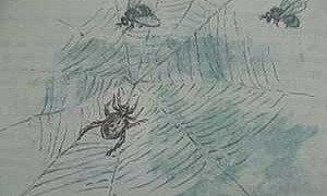 Паук - Ушинский К.Д.