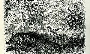 Братец Кролик и Братец Воробушек, картинка