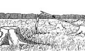 Дерево - Басня Крылова