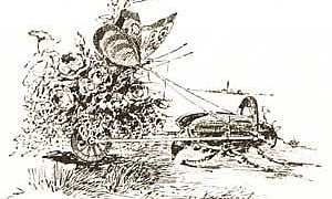 Сказочка про Козявочку (Сказка Мамина-Сибиряка), картинка