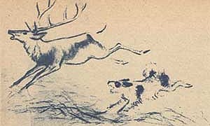 Зверь бурундук - Пришвин, картинка