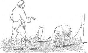 Крестьянин и Овца - Басня Крылова