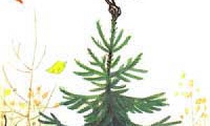 Яблоко (Сказка Сутеева В.Г.), картинка