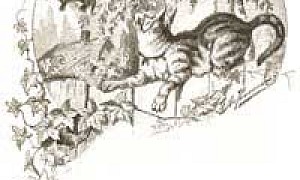 Сказочка про Воронушку - чёрную головушку и желтую птичку Канарейку (Сказка Мамина-Сибиряка), картинка