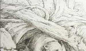 Медведь у Пчел - Басня Крылова