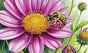 Муха и пчела - Басня Михалкова