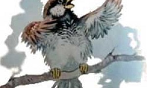 Воробей (Сказка Толстого Л.Н.), картинка