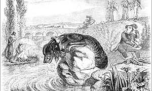 Собака и её тень - басня Льва Толстого