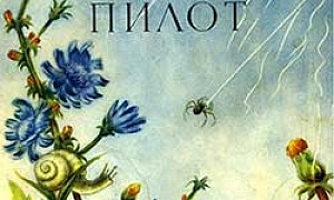 Паучок-пилот - Бианки