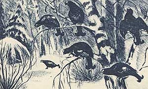 Клюква - Пришвин