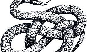 Змея - Басня Крылова