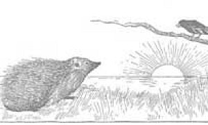 Чиж и Ёж - Басня Крылова