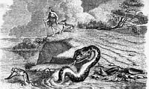 Голова и хвост змеи - басня Льва Толстого