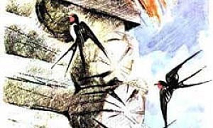 Воробей и ласточки (Сказка Толстого Л.Н.), картинка