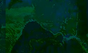 Как муха медведя от смерти спасла (Сказка Бианки В.В.), картинка