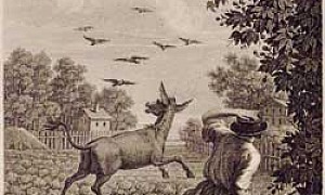 Осёл и Мужик - Басня Крылова