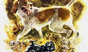 Мильтон и Булька (Сказка Толстого Л.Н.), картинка